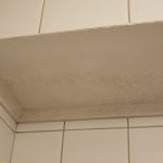 Possibly mold on my old bathroom ceiling